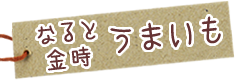 徳島名産さつまいも なると金時 うまいも